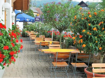 Bild 6 von 24