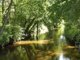 15% Sommer Special / Radeln & Wandern durchs Münsterland inkl. Restaurant Gutschein