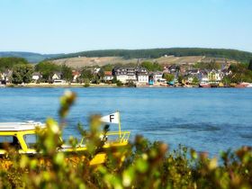 5 Tage -  Rheingau erleben!  inkl. € 30 Gutschein für ein Abendessen