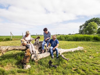 4 Tage Pfingsten an der Nordsee 