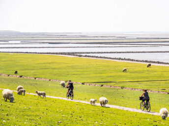 4 Tage Pfingsten an der Nordsee 