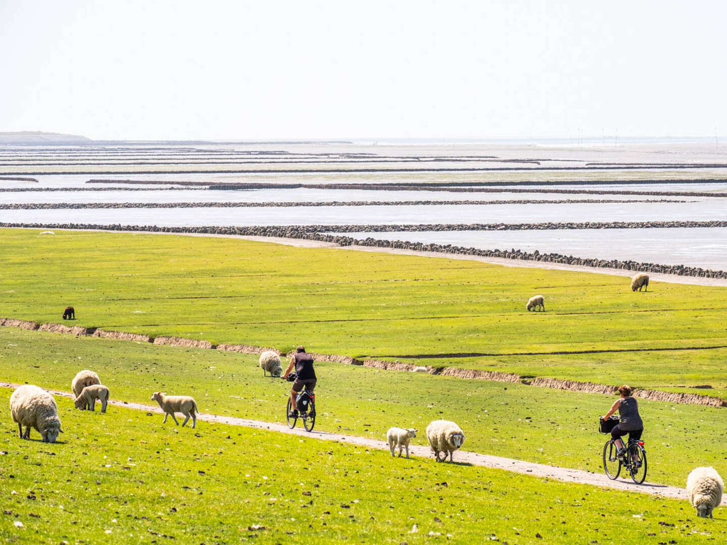 4 Tage Pfingsten an der Nordsee 