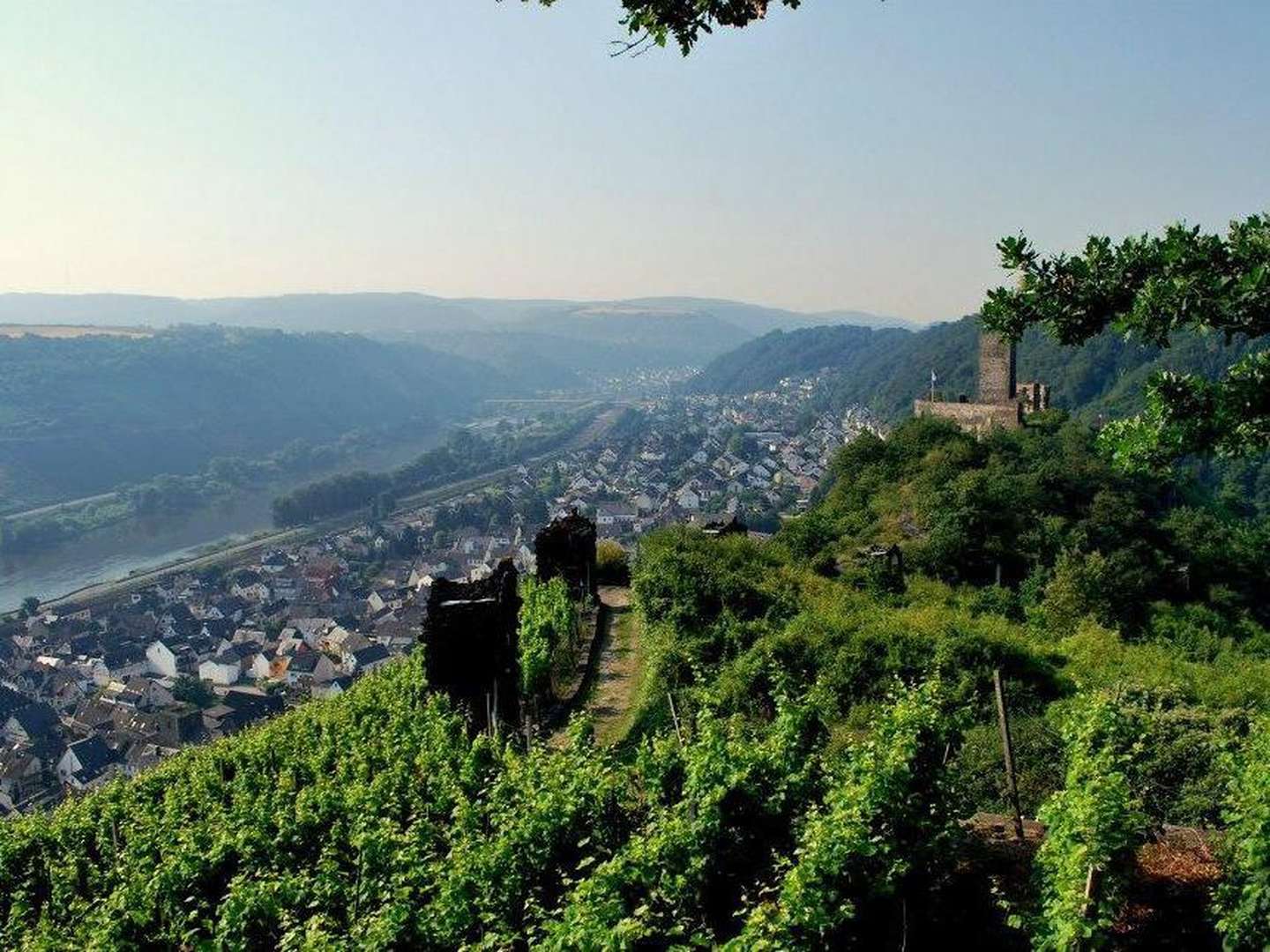 Wandern auf den Traumpfaden 2 Nächte/3 Tage an der Mosel