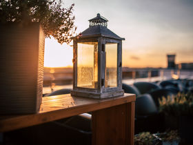 Tierisches Zoo-Special in Leipzig | 3 Tage