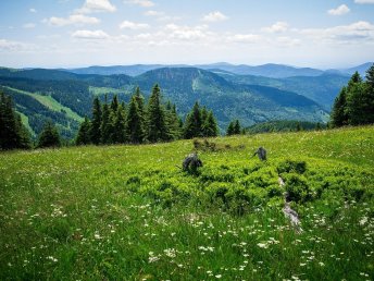 Schwarzwald für Individualisten | 3 Tage  