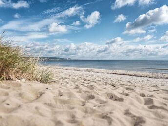 Bild 33 von 36