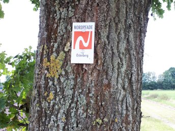 3 Tage Radwandern in der Lüneburger Heide inkl. Tourbegleiter & Lunchpaket