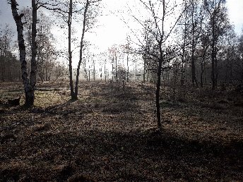3 Tage Radwandern in der Lüneburger Heide inkl. Tourbegleiter & Lunchpaket