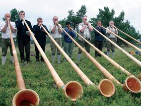 1 Übernachtung im Sauerland inkl. Halbpension 