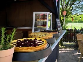 3 Tage Kurzurlaub mit Hund in Hessen inkl. 3 Gang Menü 