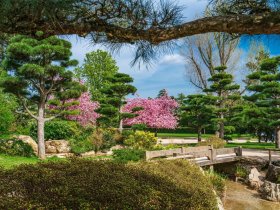 Auszeit vom Alltag in Düsseldorf - 3 Tage Vielseitigkeit und Internationalität 