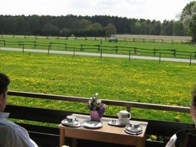 Silvester – Neujahr, kurz mal raus vom Großstadt-Trubel ?