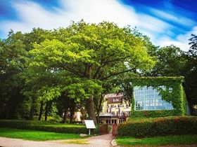 Kleine Auszeit im 4 Sterne Hotel direkt am Strand des Güstrower Inselsees