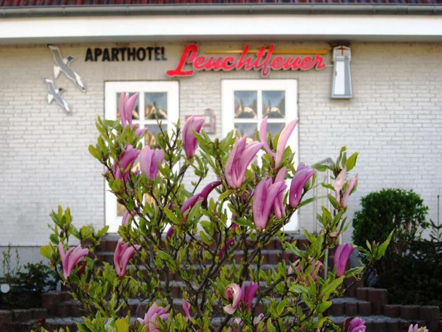 5 Tage auf Rügen - die schönste Zeit des Jahres, inkl. Gutschein für Kutterfisch