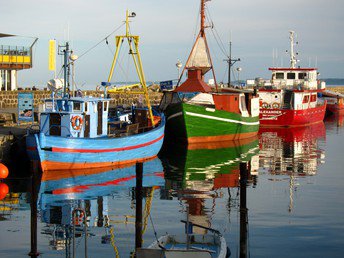 5 Tage auf Rügen - die schönste Zeit des Jahres, inkl. Gutschein für Kutterfisch