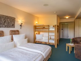 Erlebnis- & Entdecker- Urlaub im Harz- 4 Tage im Hasseröder Burghotel inkl. Halbpension  