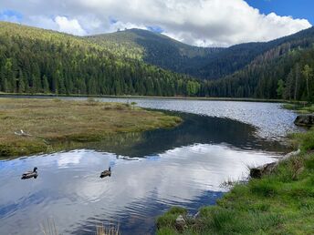 Wandern am Großen Arber im Bayerischen Wald