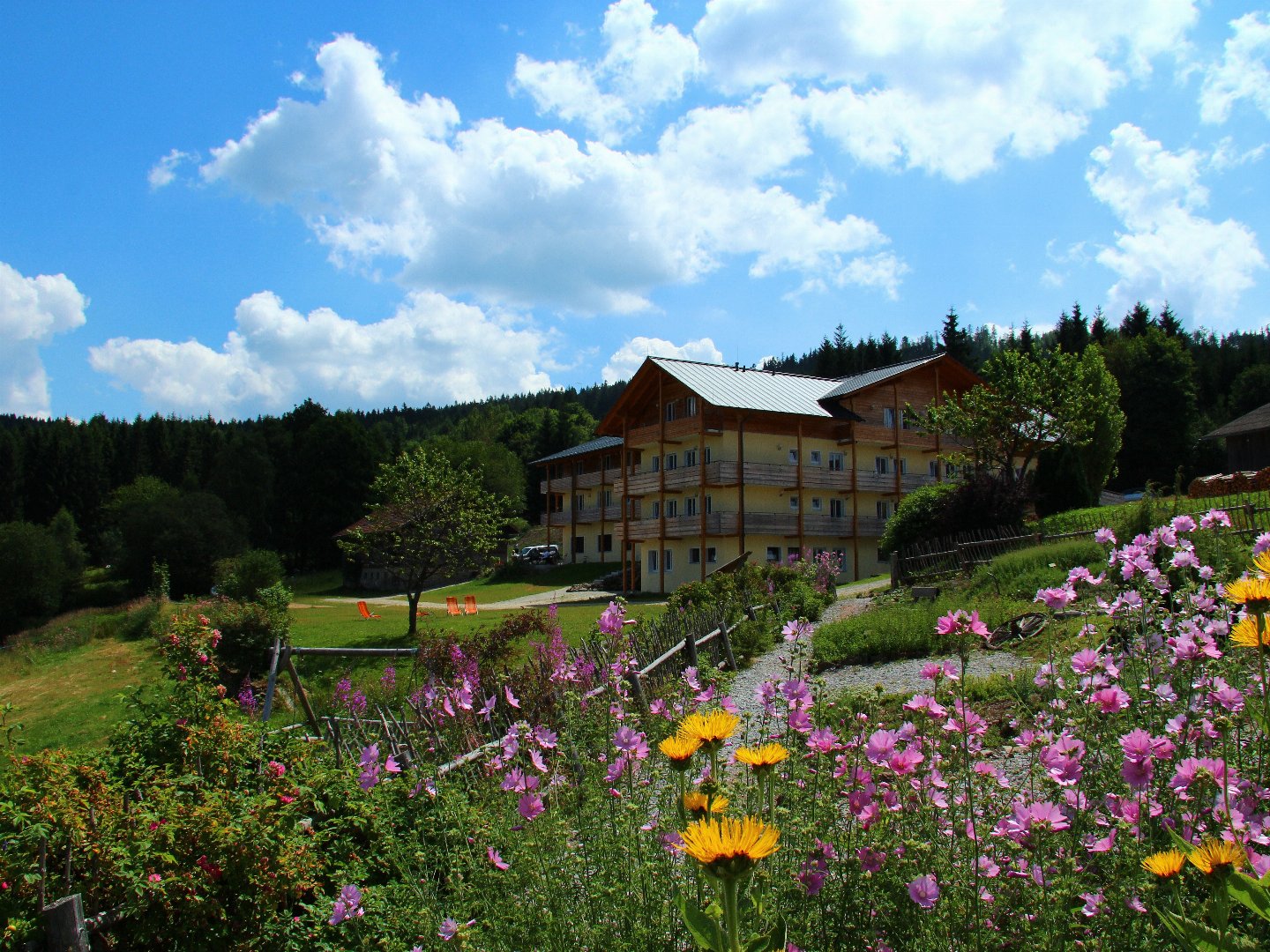 Ein Stück vom Paradies... im Bayerischen Wald
