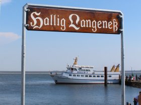 Stürmische Auszeit auf der Hallig und mitten im Meer...