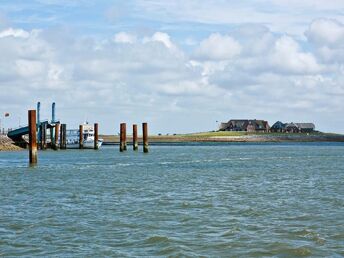 Kurzurlaub auf der Hallig Langeness in der Nordsee