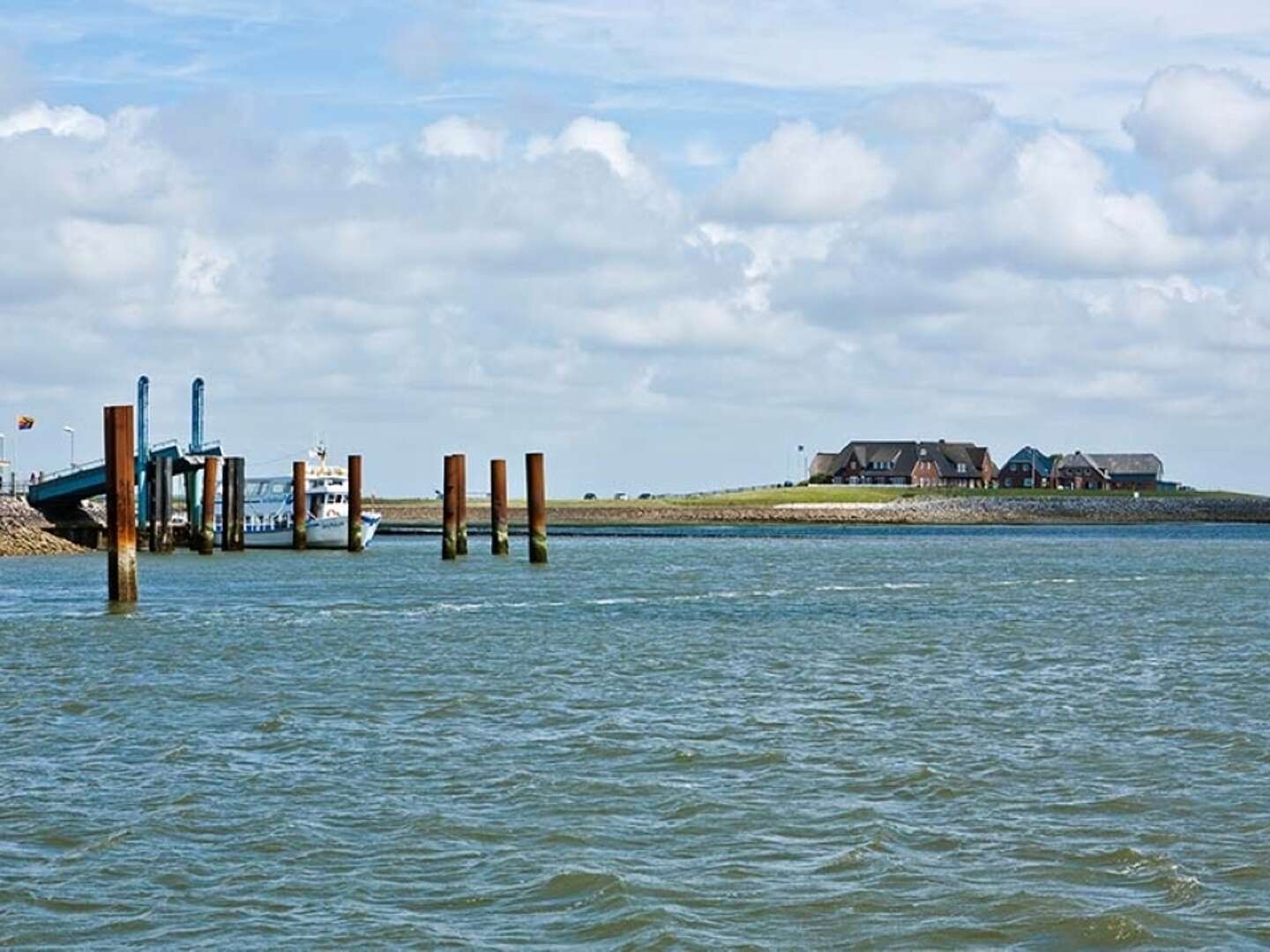 Kurzurlaub auf der Hallig Langeness in der Nordsee