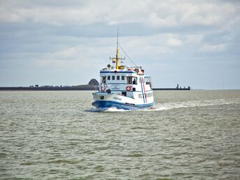Kurzurlaub auf der Hallig Langeness in der Nordsee