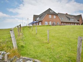 Kurzurlaub auf der Hallig Langeness in der Nordsee