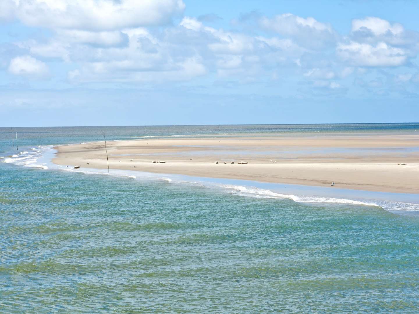 Kurzurlaub auf der Hallig Langeness in der Nordsee