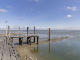 Kurzurlaub auf der Hallig Langeness in der Nordsee