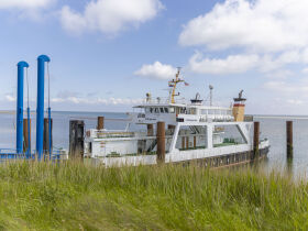 Kurzurlaub auf der Hallig Langeness in der Nordsee