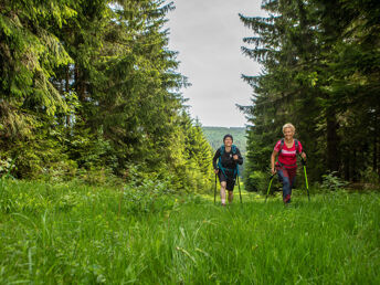Wanderlust - Auszeit im Erzgebirge - 4 Tage