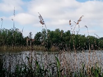 Kurz und Gut an der Müritz