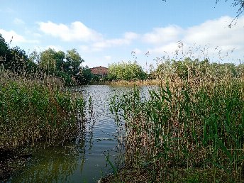 Kurz und Gut an der Müritz
