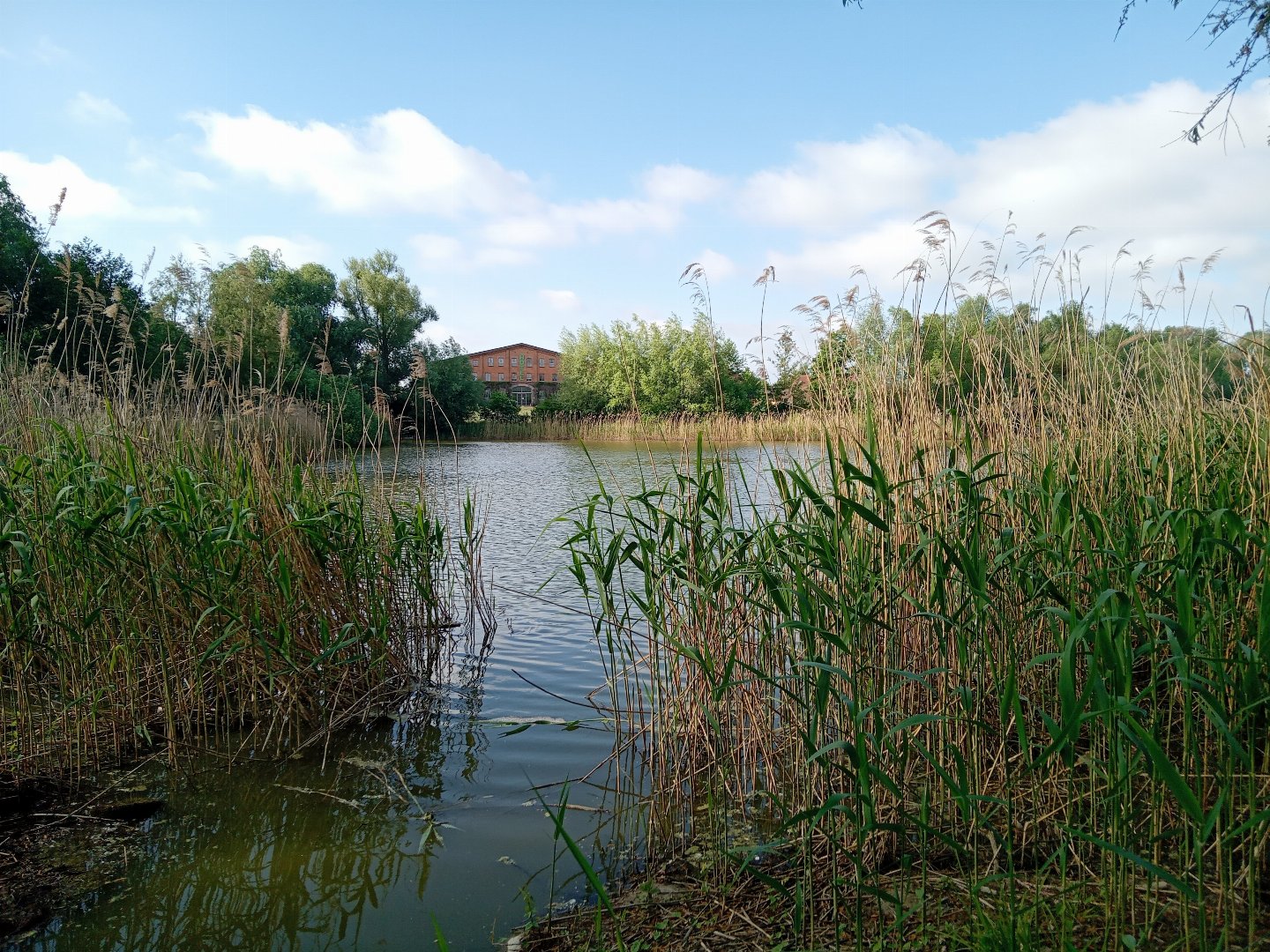 Kurz und Gut an der Müritz
