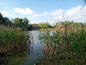 Entspannung an der Müritz