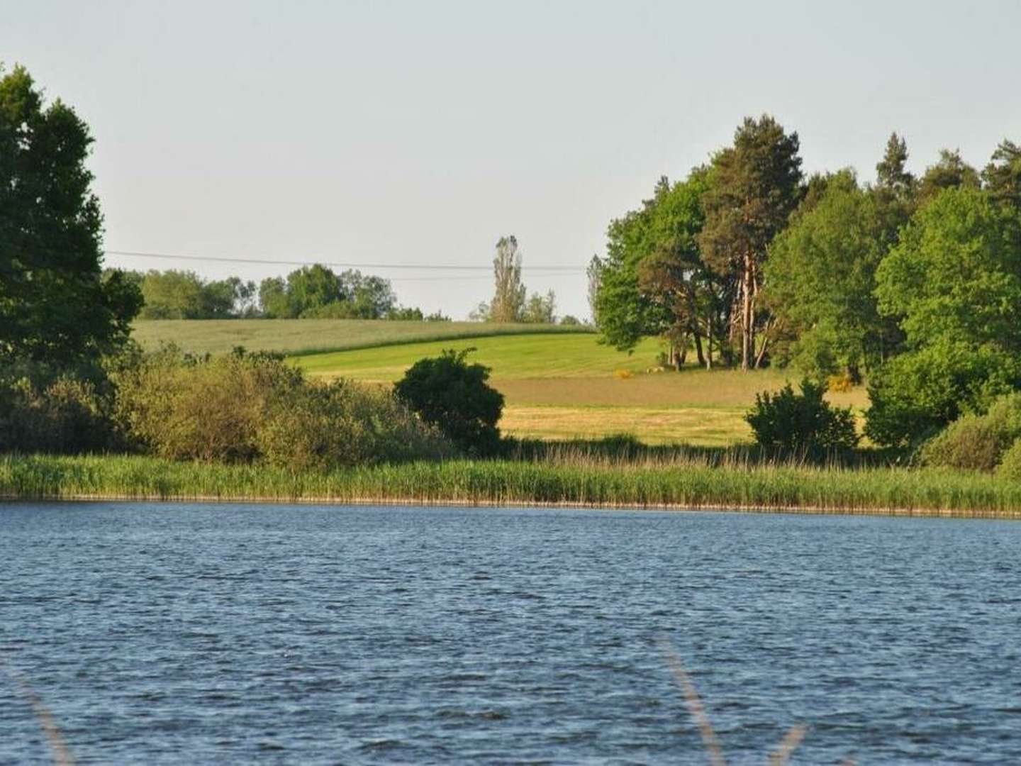 Kurz und Gut an der Müritz