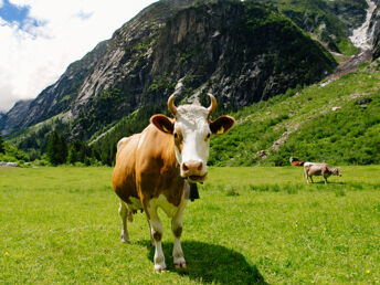 Kurz mal ins Allgäu