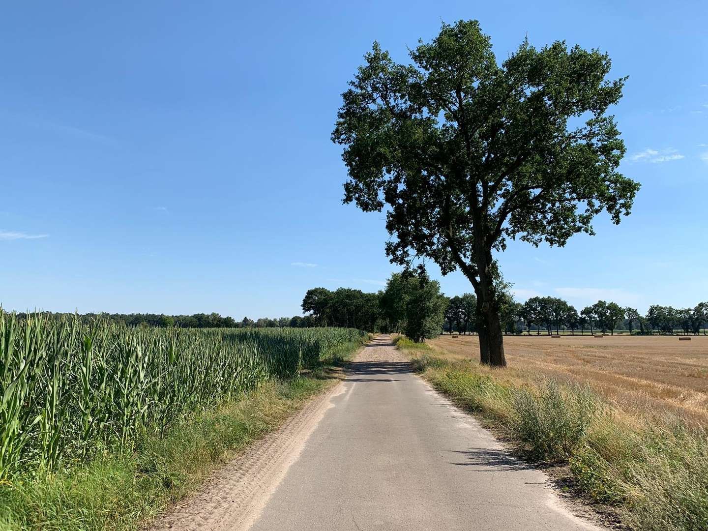 Zeit zu zweit - romantische Auszeit an der Weser inkl. 3-Gang-Menü | 3 Tage