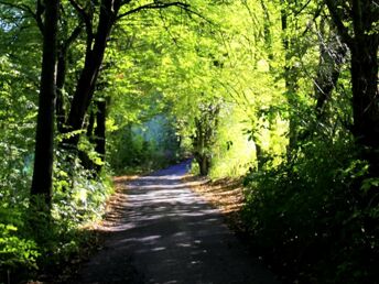 Kurzurlaub in Hohenroda | 4 Tage in der Hessischen Rhön