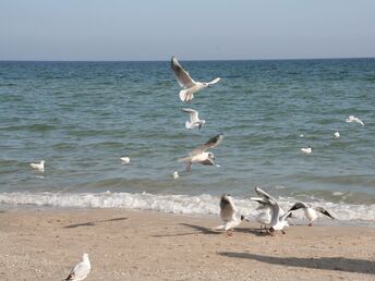 Bild 5 von 36