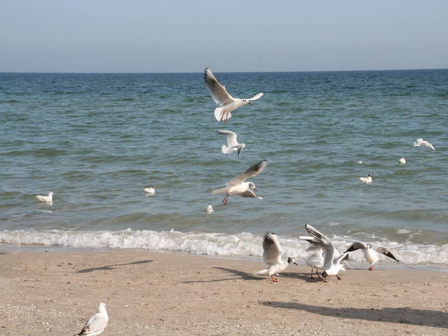 Ostsee-Auszeit inkl. tägl. Abendmenü 