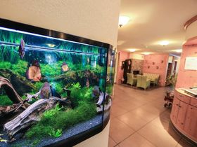 Wellnesspaket 4 Tage inkl. 2 x Eintritt Badeparadies, Palis Vital & Halbpension 