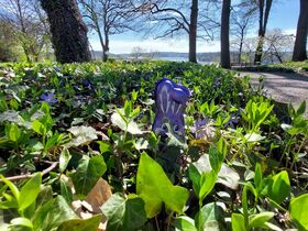 Die Kleine Auszeit - 3 Tage am Möhnesee inkl. Abendessen