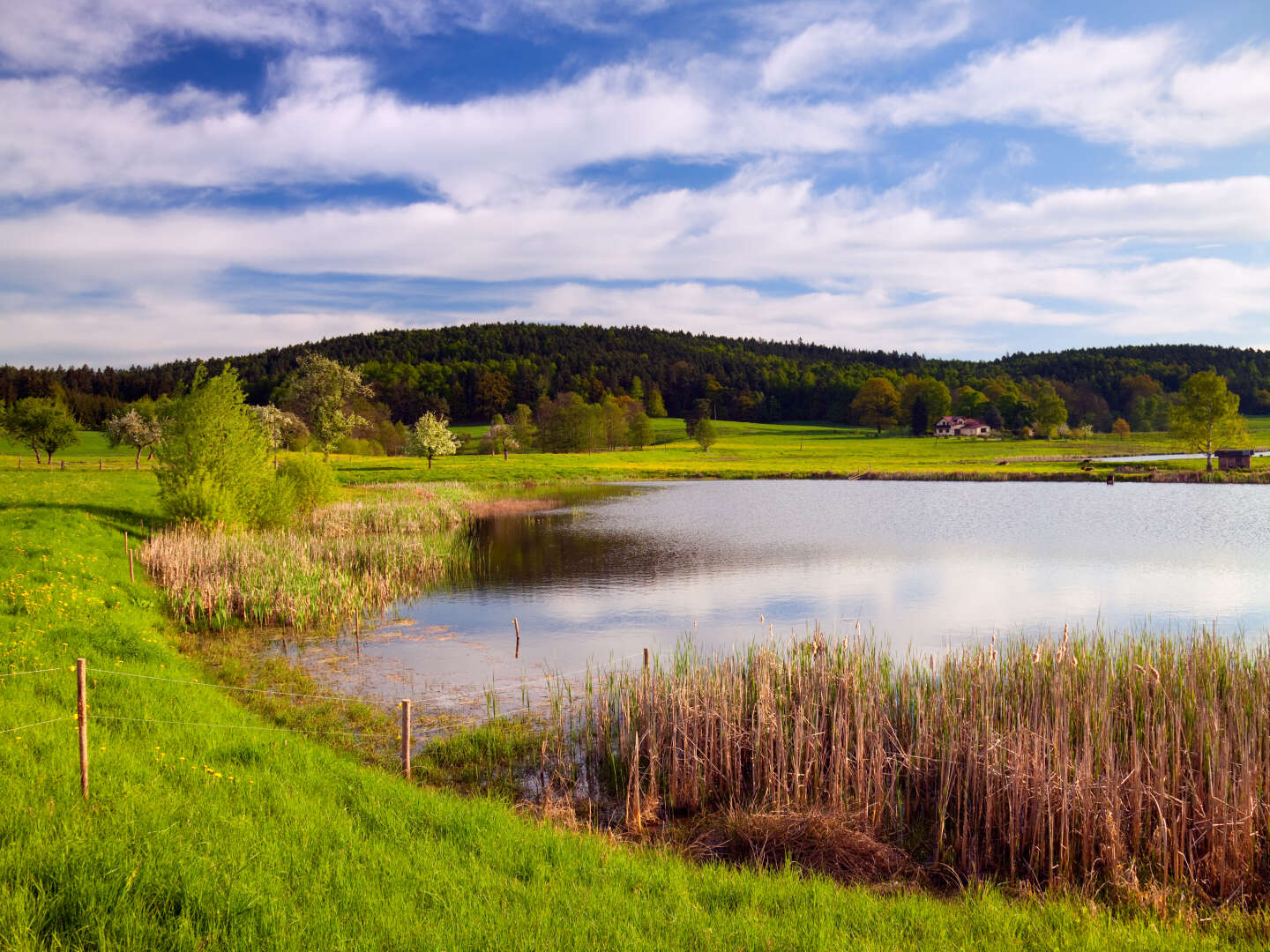 2 Tage Wandern und Genießen im Weserbergland inkl. 3-Gänge-Menü