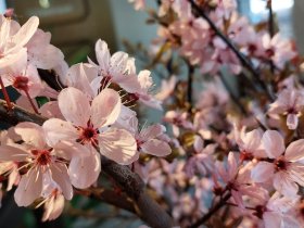 Das Erzgebirge entdecken  - 3 Tage mit traditionell erzgebirgischen Flair