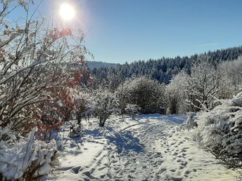 „In des Waldes Ruh“ im Erzgebirge für 4 Tage inkl. Halbpension