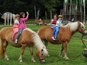 8 Tage Urlaub direkt am Inselsee Güstrow