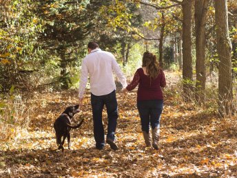 Entspannte Urlaubstage mit Hund in der Wingst an der Nordsee