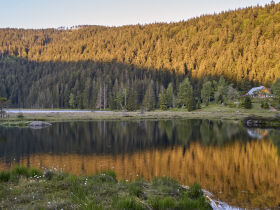 Rösslwirts Wohlfühltage im Bayerischen Wald 