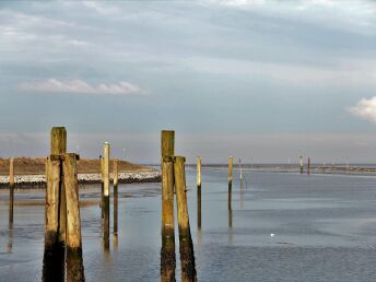 Nordsee-Highlights in Bensersiel inkl. Wattwanderung